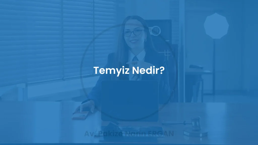 Temyiz Nedir